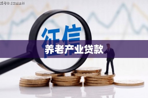 武邑养老产业贷款