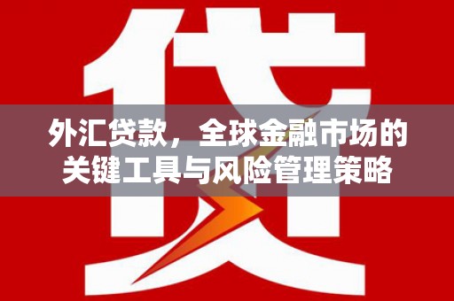 武邑外汇贷款，全球金融市场的关键工具与风险管理策略