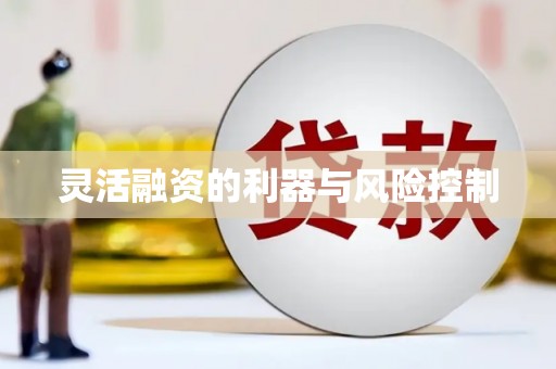 武邑灵活融资的利器与风险控制