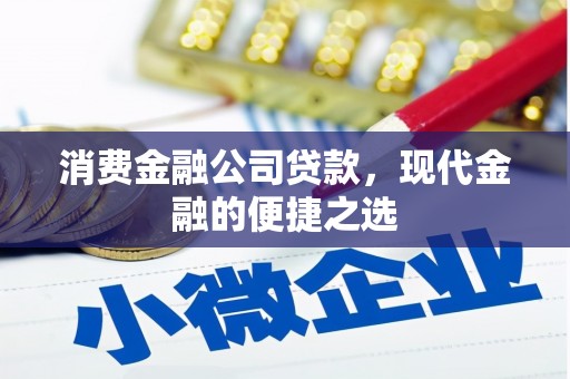 武邑消费金融公司贷款，现代金融的便捷之选
