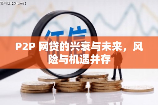 武邑P2P 网贷的兴衰与未来，风险与机遇并存