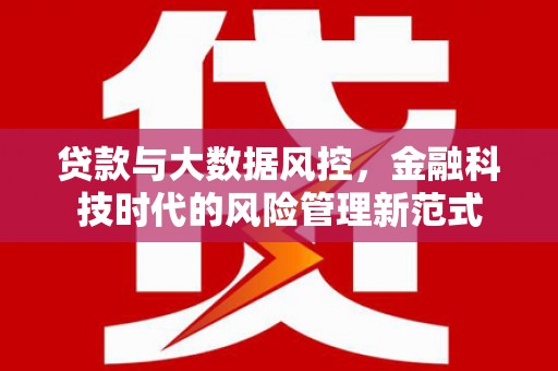 武邑贷款与大数据风控，金融科技时代的风险管理新范式