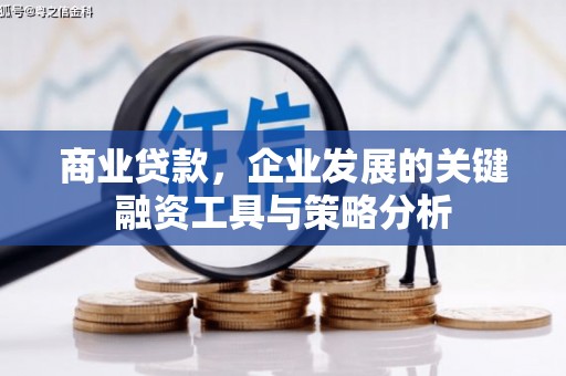 武邑商业贷款，企业发展的关键融资工具与策略分析
