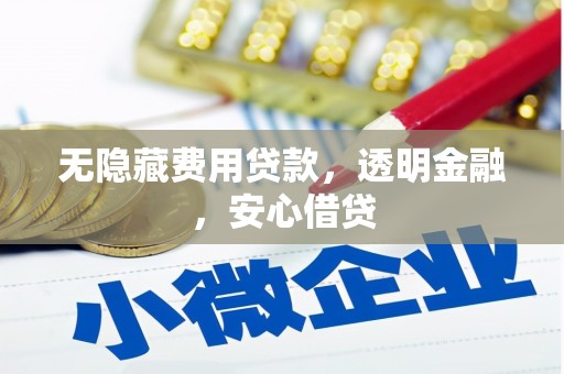 武邑无隐藏费用贷款，透明金融，安心借贷