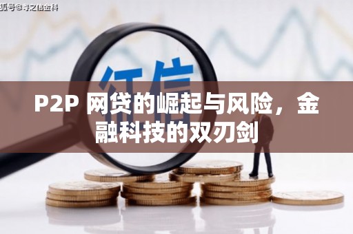 武邑P2P 网贷的崛起与风险，金融科技的双刃剑