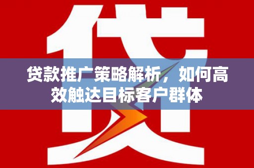 武邑贷款推广策略解析，如何高效触达目标客户群体