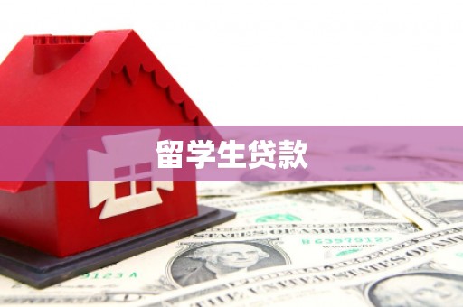 武邑留学生贷款