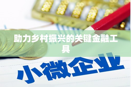 武邑助力乡村振兴的关键金融工具
