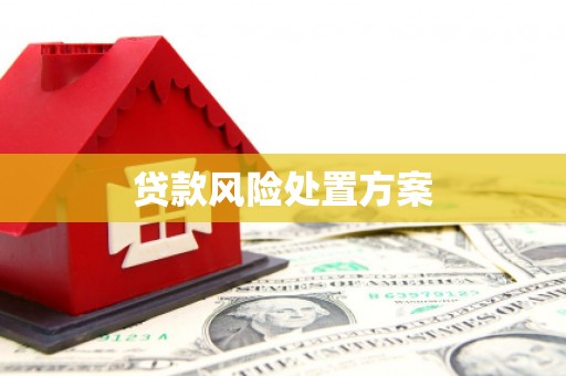 武邑贷款风险处置方案