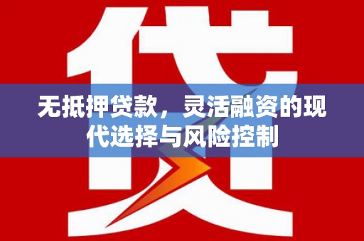 武邑无抵押贷款，灵活融资的现代选择与风险控制