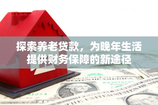 武邑探索养老贷款，为晚年生活提供财务保障的新途径