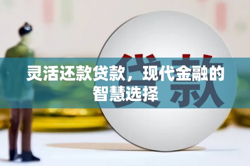 武邑灵活还款贷款，现代金融的智慧选择