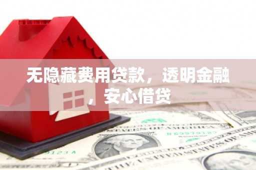 武邑无隐藏费用贷款，透明金融，安心借贷