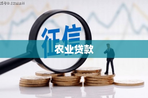 武邑农业贷款