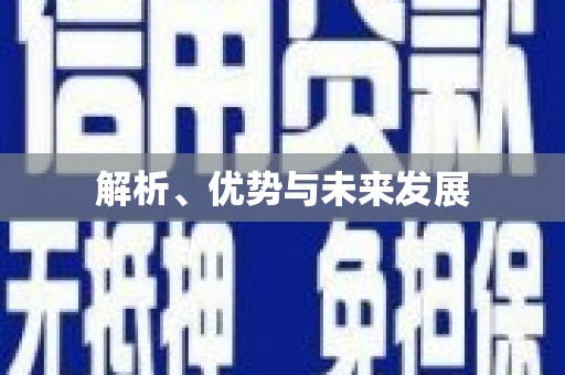 武邑解析、优势与未来发展