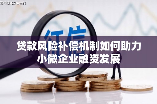 武邑贷款风险补偿机制如何助力小微企业融资发展