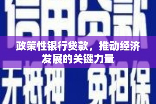 武邑政策性银行贷款，推动经济发展的关键力量