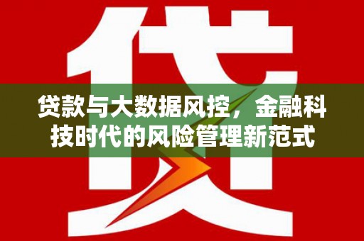 武邑贷款与大数据风控，金融科技时代的风险管理新范式