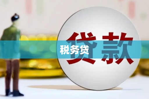 武邑税务贷