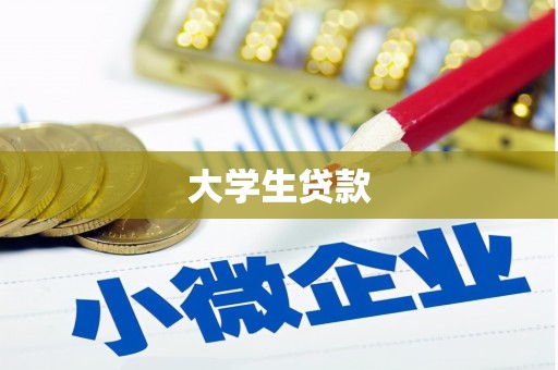 武邑大学生贷款