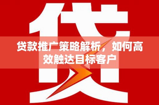 武邑贷款推广策略解析，如何高效触达目标客户