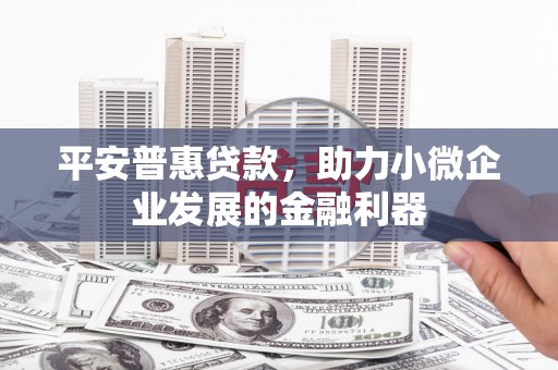 武邑平安普惠贷款，助力小微企业发展的金融利器