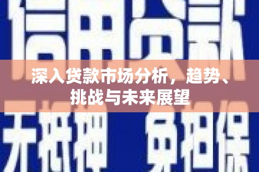 武邑深入贷款市场分析，趋势、挑战与未来展望