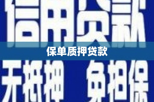 武邑保单质押贷款