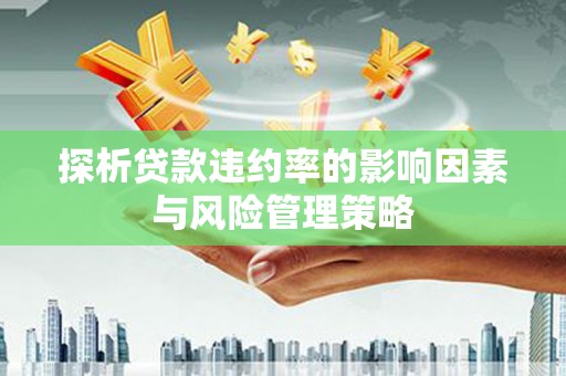 武邑探析贷款违约率的影响因素与风险管理策略