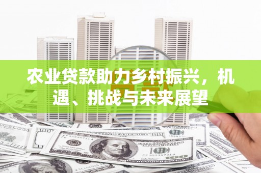 武邑农业贷款助力乡村振兴，机遇、挑战与未来展望