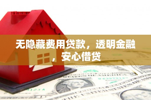 武邑无隐藏费用贷款，透明金融，安心借贷