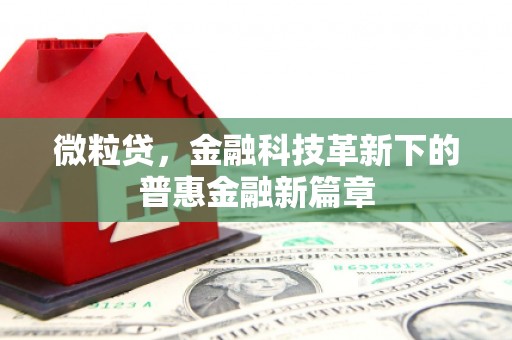 武邑微粒贷，金融科技革新下的普惠金融新篇章
