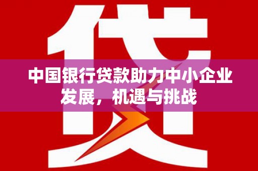 武邑中国银行贷款助力中小企业发展，机遇与挑战