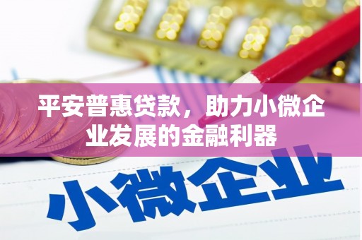 武邑平安普惠贷款，助力小微企业发展的金融利器