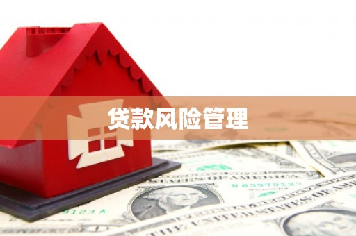 武邑贷款风险管理