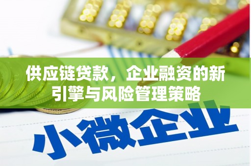 武邑供应链贷款，企业融资的新引擎与风险管理策略