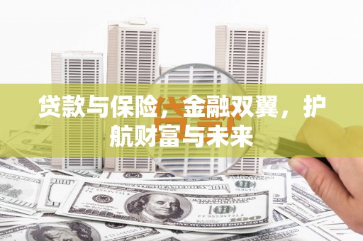 武邑贷款与保险，金融双翼，护航财富与未来
