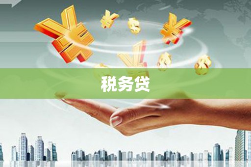 武邑税务贷
