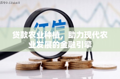 武邑贷款农业种植，助力现代农业发展的金融引擎