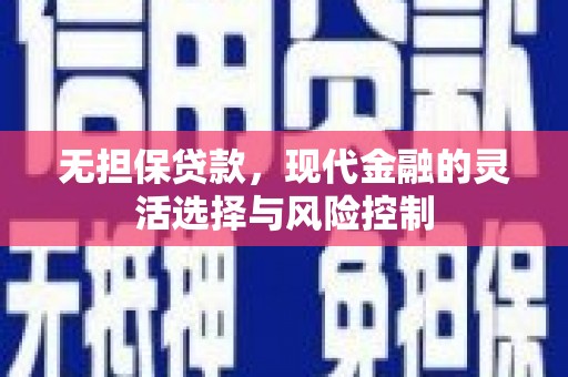 武邑无担保贷款，现代金融的灵活选择与风险控制