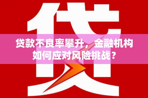 武邑贷款不良率攀升，金融机构如何应对风险挑战？