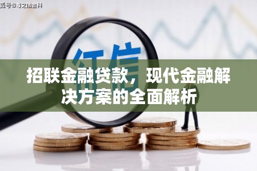 武邑招联金融贷款，现代金融解决方案的全面解析