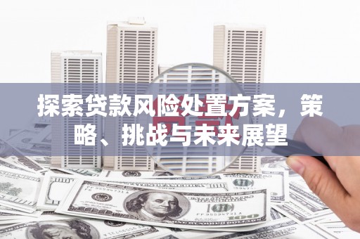 武邑探索贷款风险处置方案，策略、挑战与未来展望