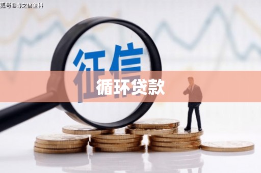 武邑循环贷款