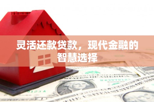 武邑灵活还款贷款，现代金融的智慧选择