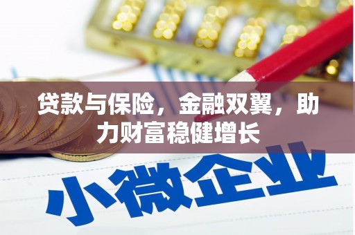 武邑贷款与保险，金融双翼，助力财富稳健增长