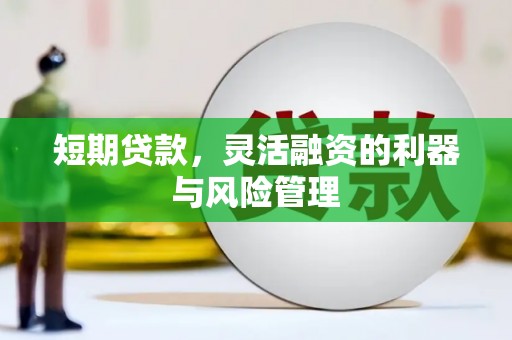武邑短期贷款，灵活融资的利器与风险管理