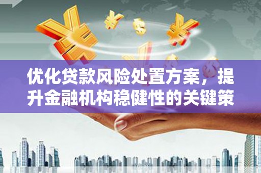 武邑优化贷款风险处置方案，提升金融机构稳健性的关键策略