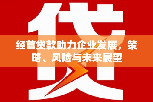 武邑经营贷款助力企业发展，策略、风险与未来展望