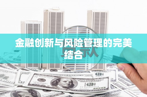 武邑金融创新与风险管理的完美结合